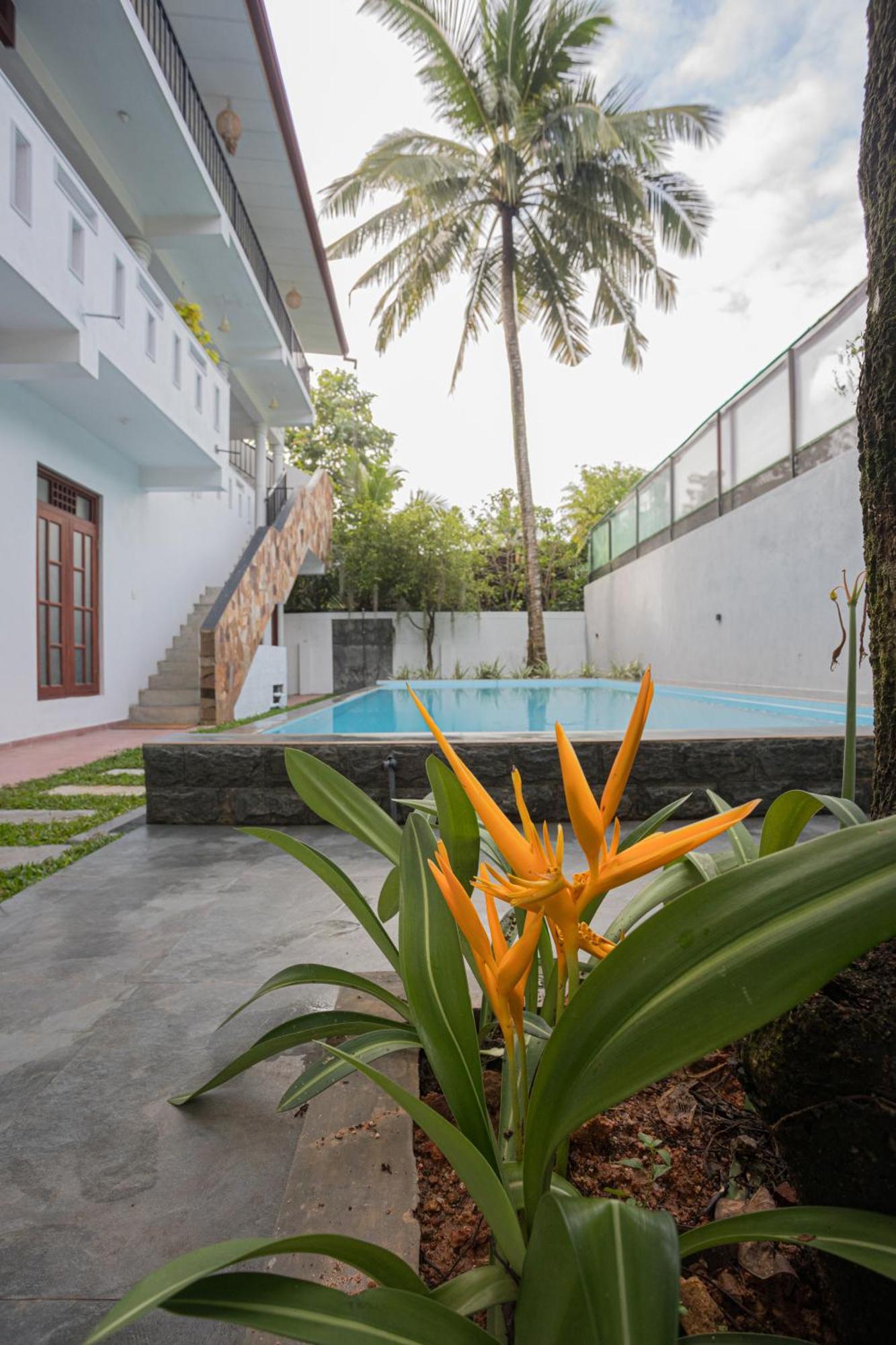 Villa Windfall אונה ואטונה מראה חיצוני תמונה